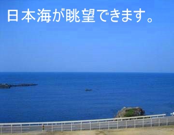 ���{�C�^�z�O�C�ݍ������